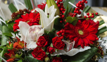 Flores