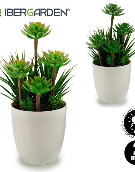 Vaso c/ Catos Redondo Médio Srt.2 14x30 - Image 2