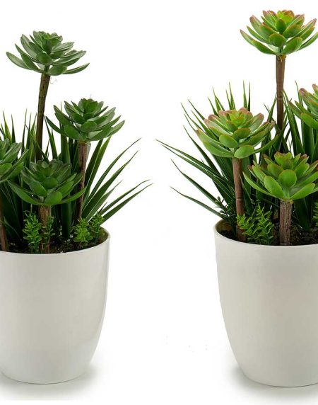 Vaso c/ Catos Redondo Médio Srt.2 14x30 - Image 1