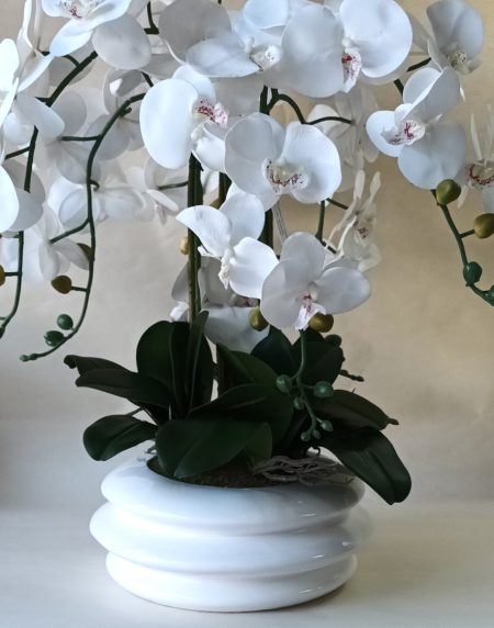 Centro de Orquídeas 6H en Vaso Flores 60x45cm - Image 1