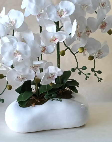 Centro de Orquídeas 3H en Vaso Pedra 60x45cm - Image 1