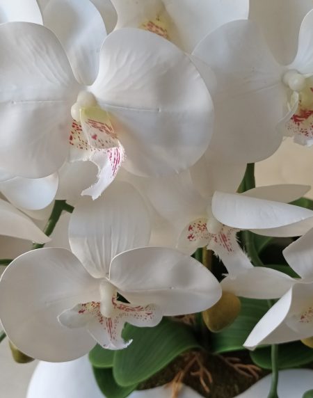 Centro de Orquídeas 6H en Vaso Flores 60x45cm - Image 3