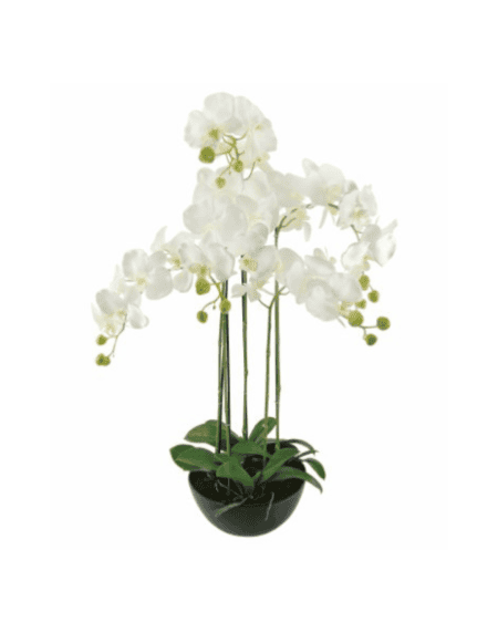 Centro de orquídeas brancas em taça com cinco hastes decorativas Eurokasa